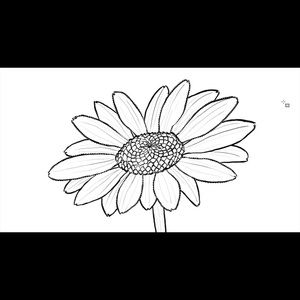 Meet your Posher, Alaina